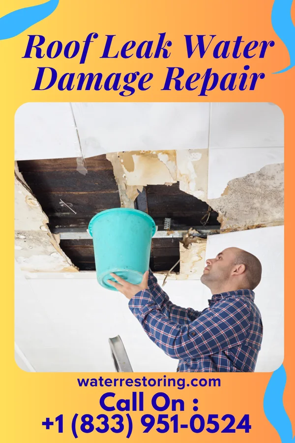 Roof Leak Water Damage Repair in Cleora, OK